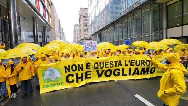 Coldiretti Marche alla manifestazione di Bruxelles: 'L’Unione Europa sia più vicina al nostro modello agricolo'