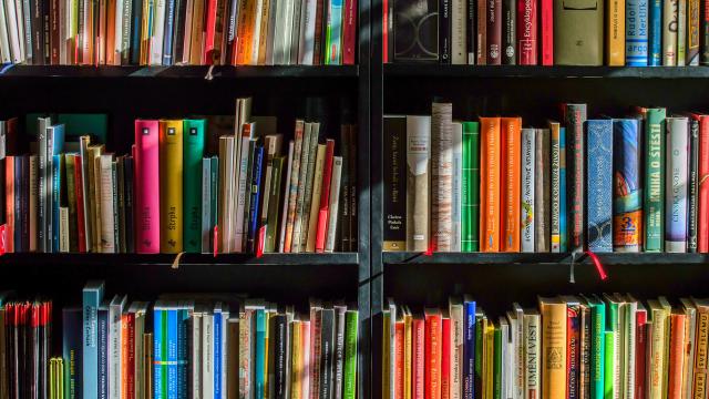 Come la narrativa distopica riflette le paure del presente 