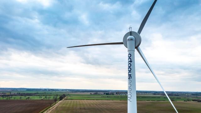 Octopus Energy chiede maggiori investimenti nelle rinnovabili per rafforzare la sicurezza energetica dell'Europa