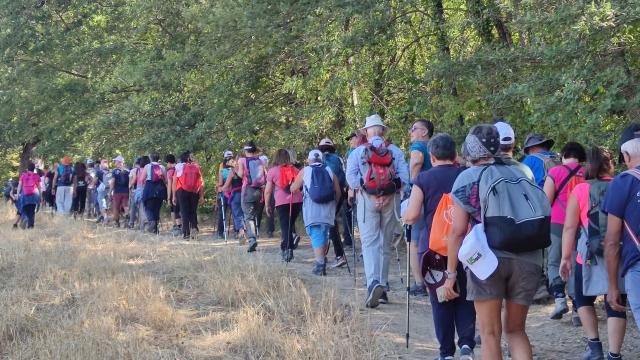 Unione Sportiva Acli Marche: entra nel vivo il progetto 'Il valore sociale dello sport'