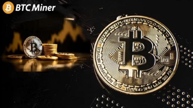 Come Trasformare i Fondi Inattivi di Detentori di XRP, BTC e DOGE in Una Ricchezza Straordinaria