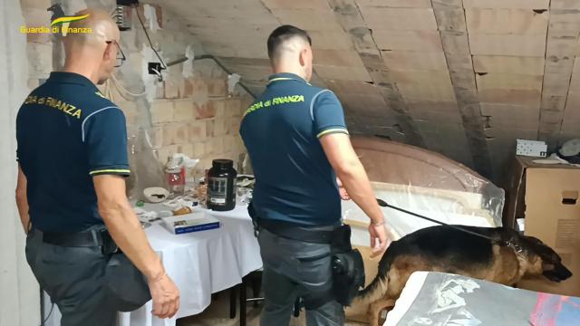 Controlli con cane antidroga a Civitanova Marche. Una denuncia e sequestro di oltre 360 grammi di marijuana e hashish