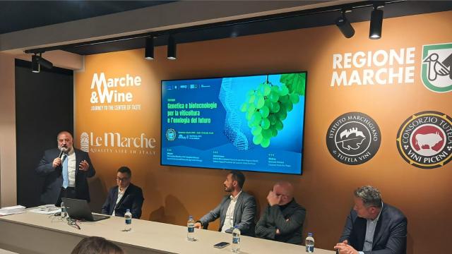 Vinitaly, Consorzio Tutela Vini Piceni propone incontro innovativo con l'Università di Perugia