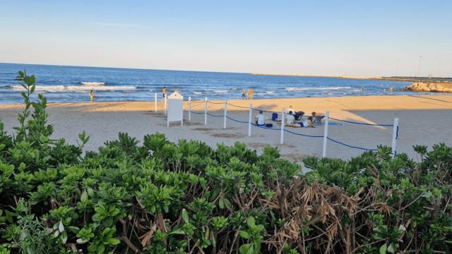 San Benedetto del Tronto: via libera per spiaggia pet-friendly. Autorità di Sistema e Capitaneria firmano ordinanza 