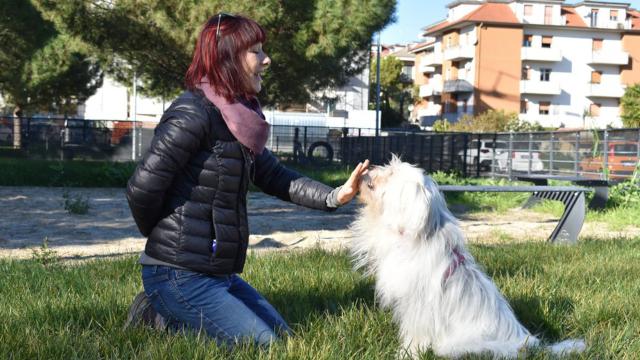 ''FisAmico a 4 zampe'', a Centobuchi l'iniziativa dedicata ai cani organizzata dalla FISA