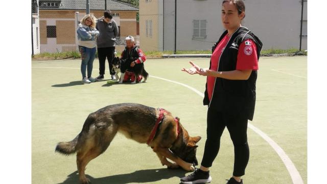 CRI Sibillini nelle scuole: dimostrazioni pratiche con ragazzi delle scuole medie di Comunanza, Force e Montefalcone 