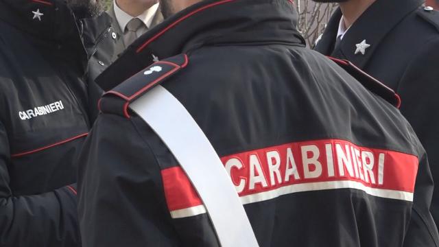 Misura cautelare per uomo che investì ragazza ad Acquasanta Terme. Nell'incidente morì uno dei suoi cani 