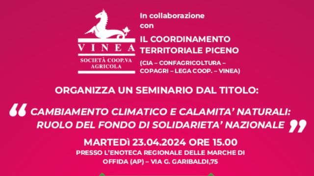 Offida, 'Vinea' organizza seminario all'Enoteca regionale dedicato al cambiamento climatico