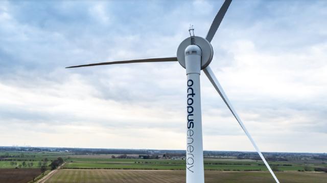 Octopus Energy, transizione energetica che coinvolge i cittadini. Tomassetti: “Tutti partecipi della rivoluzione green”