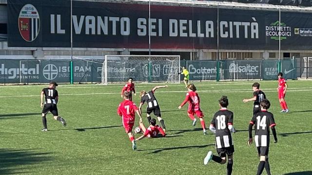 Ascoli Calcio, Primavera di scena a Crotone. Under 16 e 15 ospitano il Frosinone, Under 14 a Perugia