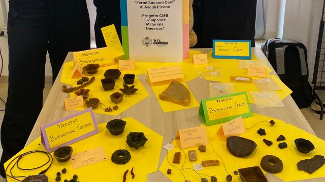 Primo posto per l'IIS Fermi Sacconi Ceci di Ascoli Piceno al Premio 'Storie di Alternanza e Competenze'