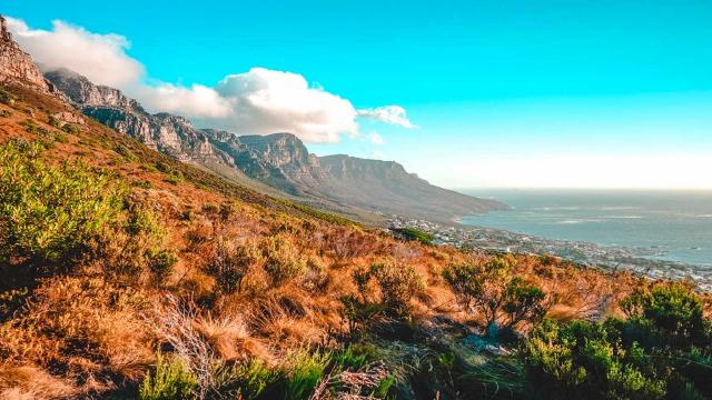 Coronavirus, nuova variante scoperta in Sudafrica. Lo hanno annunciato gli scienziati