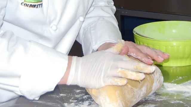 Pasta Day: nelle Marche dei cereali la produzione di pasta è per un terzo biologica e vale 22,5 milioni di export