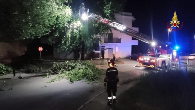 Vigili del Fuoco, tanti interventi nei comuni dell'Ascolano a causa del forte vento 