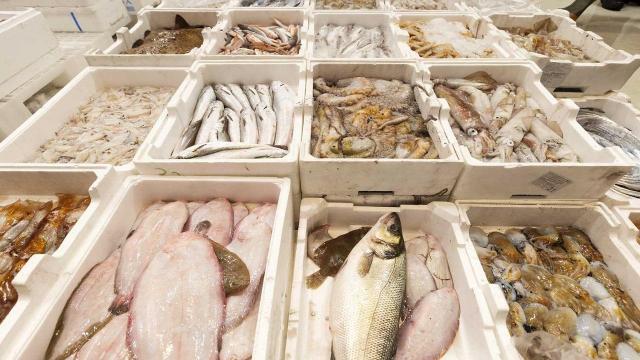 San Benedetto del Tronto, nel 2024 al Mercato ittico riciclate 103.000 cassette in plastica
