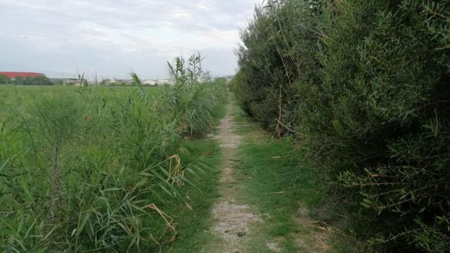 Porto D'Ascoli, nuovo appuntamento con le visite guidate nella Riserva Naturale Sentina