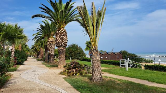 Grottammare, furti di piante dalle aiuole del Lungomare: “Manutenzione verde è un impegno di 200 mila euro”