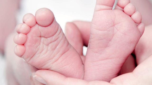 Meno nascite nelle Marche, Uil: “Lavoro stabile e servizi, serve un piano regionale per la genitorialità” 