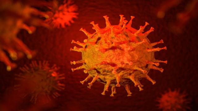 Covid-19, Oms: “Sta per diventare come un'influenza stagionale. Fiduciosi che emergenza sanitaria sia finita”