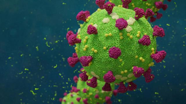 Coronavirus, nuova mega mutazione identificata a Marsiglia dopo rientro da viaggio in Camerun