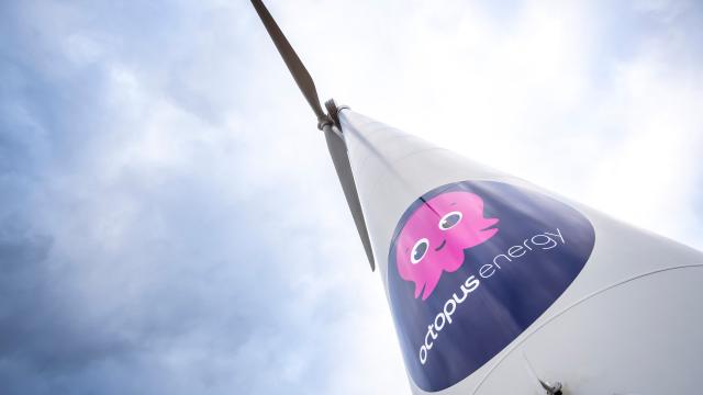 Nuovi investitori si uniscono al Gruppo Octopus Energy per supportarne la crescita in Europa e Nord America