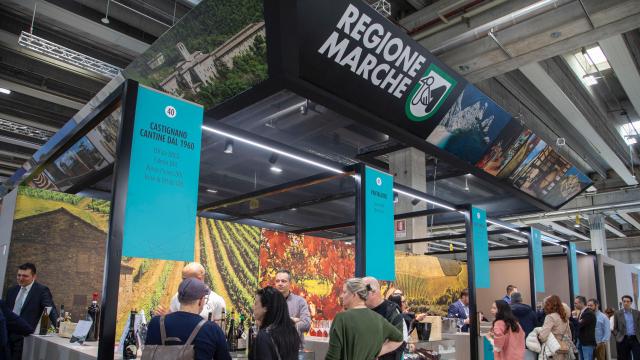 Vinitaly, bilancio positivo per la Regione Marche. Antonini: “Al fianco degli operatori per esplorare nuovi mercati”