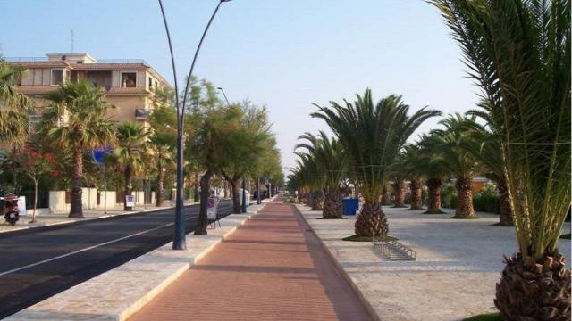 San Benedetto, lungomare occupato da due manifestazioni sportive: ''Corri con Martina'' e ''Pattinaggio su strada''