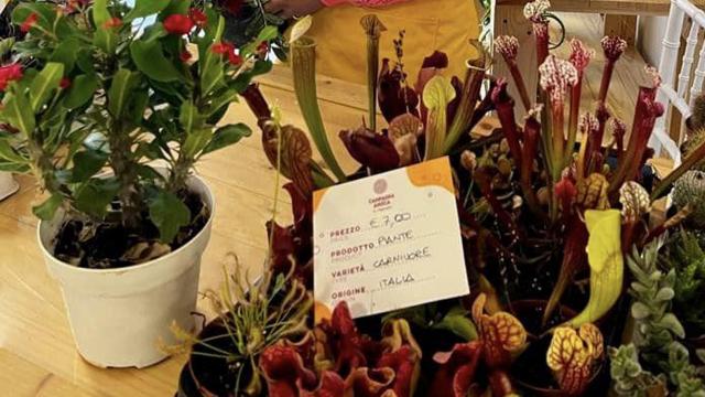 Florovivaisti soddisfatti. Coldiretti Ascoli Fermo: “Vittoria in Europa, vaso non sarà soggetto a contributo ambientale”