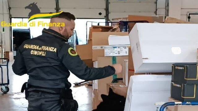 Guardia di Finanza Macerata, sequestrati oltre 37 chili di marijuana. Denunciati i destinatari