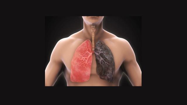 Area Vasta 5, a San Benedetto corso nazionale sul trattamento dell'insufficienza respiratoria acuta in emergenza