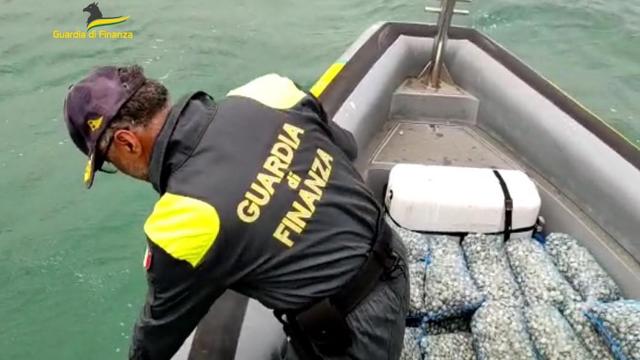  Guardia Finanza Ancona, sequestrati 460 chili di vongole prive di etichettatura e tracciabilità 
