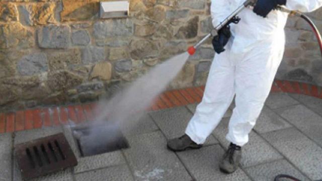 Ascoli Piceno, in programma interventi di disinfestazione nel territorio comunale