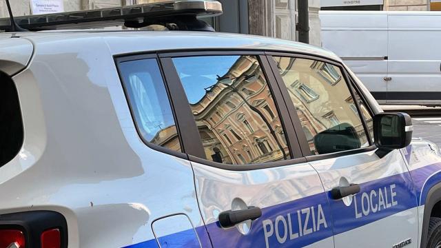 Polizia Locale Ascoli Piceno: gli ultimi dati dell'attività di controllo del territorio