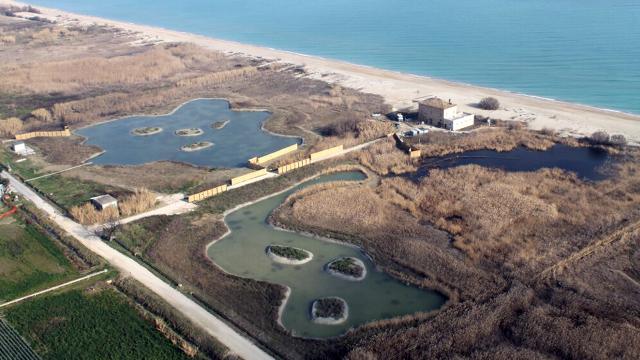 San Benedetto del Tronto: al via progetto 'Blu Sentina' per monitoraggio, conservazione e ripristino biodiversità marina