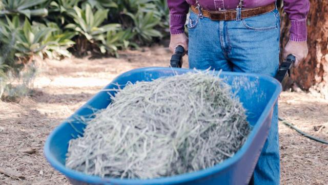 Coldiretti Marche, agriturismi aperti ad anziani con deficit cognitivi. Al via sperimentazione centri diurni in azienda