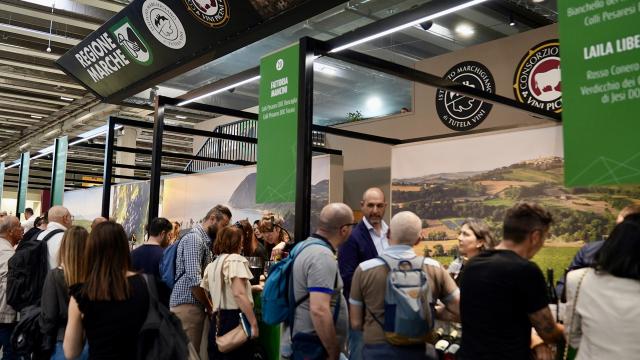 Vino Marche, bilancio positivo a Vinitaly. Antonini: “Enoturismo, bio e sostenibilità per conquistare nuovi mercati”