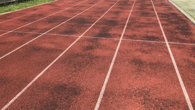 Ascoli Piceno, al Liceo ''Orsini'' incontro tra studenti e tecnici di varie specialità di atletica leggera