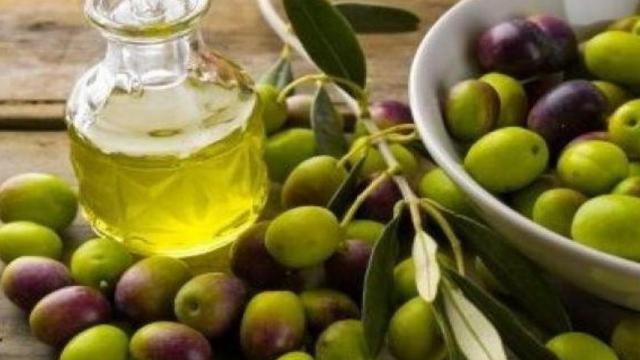 Cia Agricoltori, raccolta olive nel Piceno: qualità eccellente ma produzione in calo con prezzi in aumento