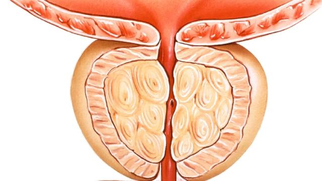 A cosa serve la prostata e come prendersene cura