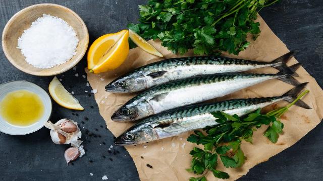 San Benedetto: ''Festival del pesce azzurro'', nuovo format ed attenzione alla sostenibilità