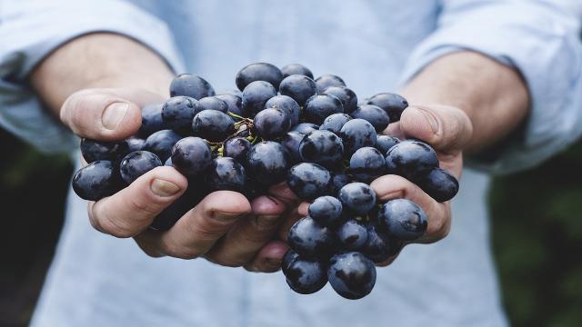 I benefici dell'uva sulla pelle