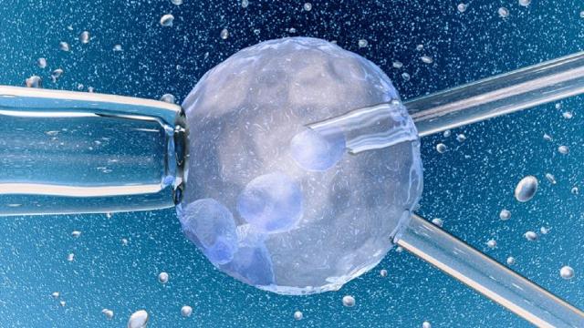 Fecondazione assistita: caratteristiche, trattamenti e costi
