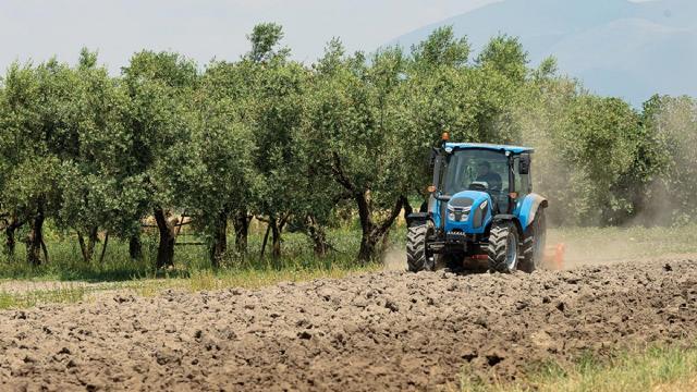 Regione Marche investe 22 milioni di euro per favorire l’insediamento dei giovani agricoltori