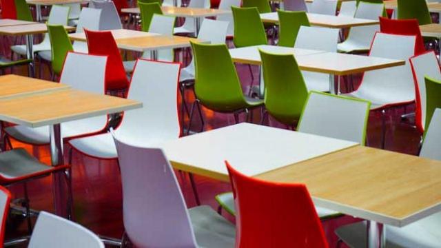 'Green Food Week', Grottammare promuove cibo sostenibile nelle mense scolastiche su proposta dell'AST