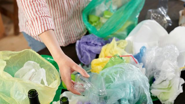 Ascoli Servizi Comunali: prorogata l’attività di consegna kit per la raccolta differenziata
