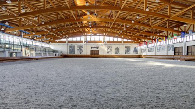 Centro Ippico Piceno presente ai Campionati Regionali Marche di Salto Ostacoli Indoor 2024