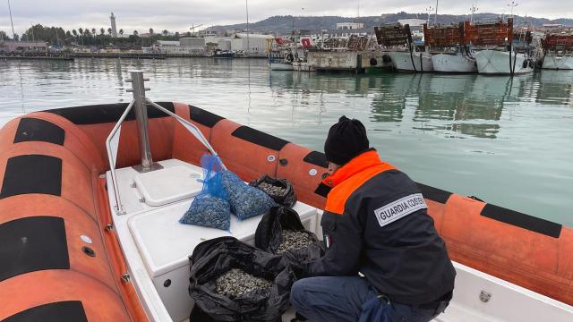 Guardia Costiera, operazione 'E-Fishing” a tutela filiera della pesca. Irregolarità anche a San Benedetto del Tronto