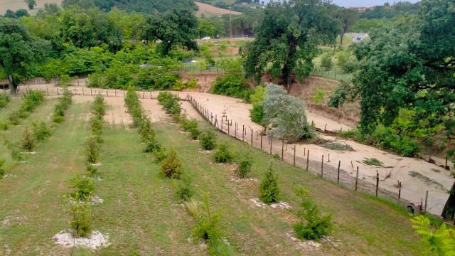 Coldiretti Marche, SOS maltempo: “Danni incalcolabili. Impossibile entrare nei campi per raccolte e trattamenti”