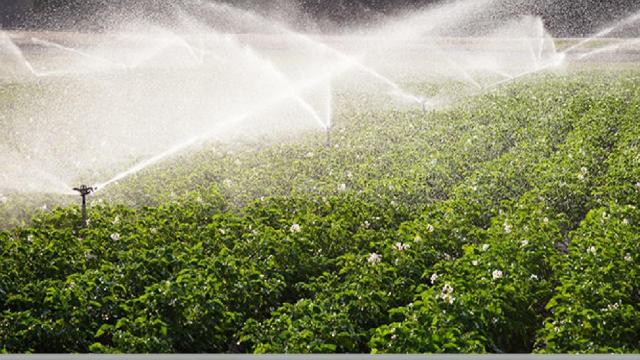 Regione Marche, in arrivo 'Fondo Nuovo Credito' e pacchetto CSR per competitività e sostenibilità delle imprese agricole