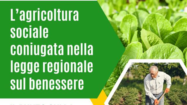Cupra Marittima, il Comune organizza l'incontro ''Agricoltura sociale coniugata nella legge regionale sul benessere''